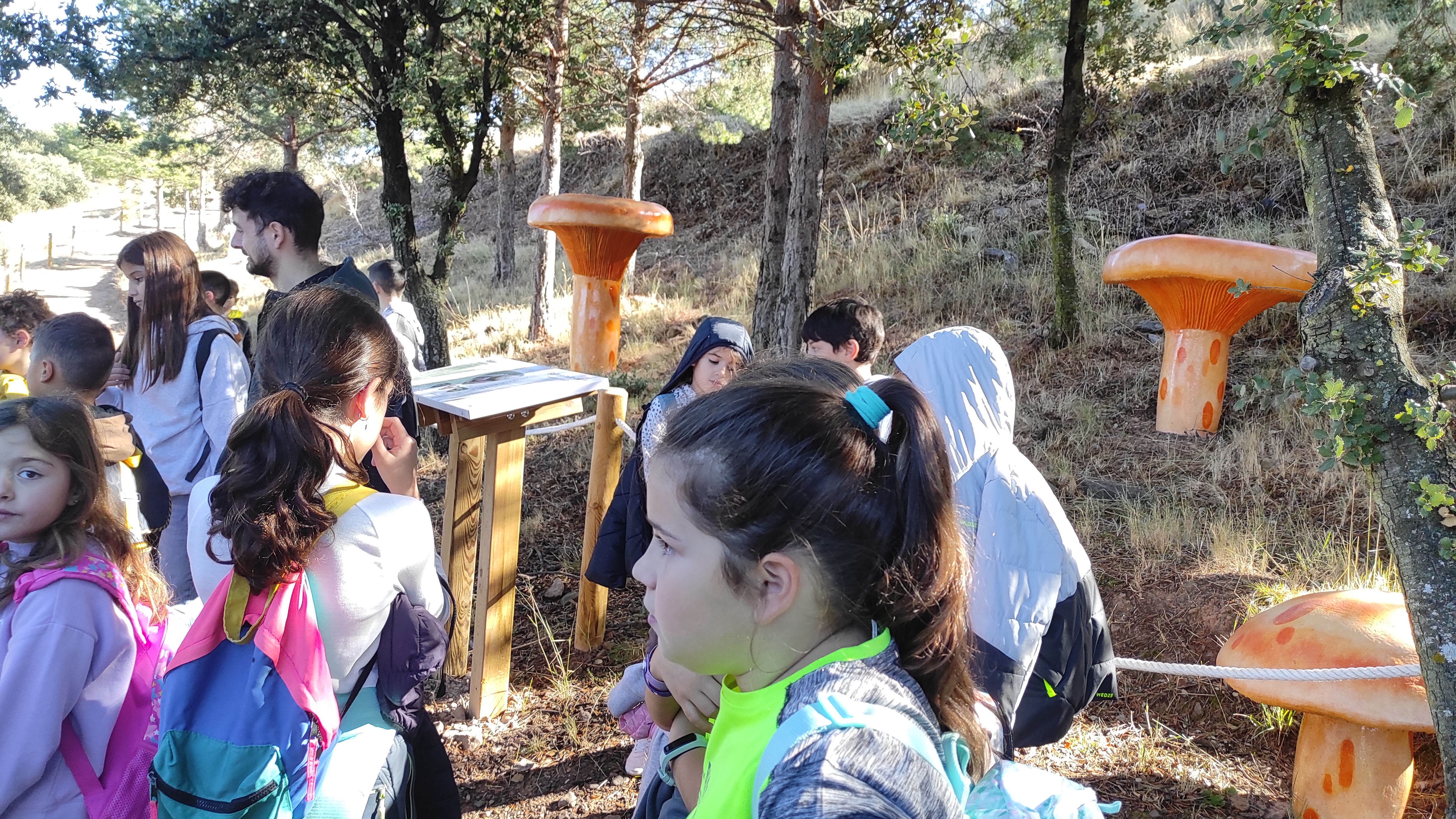 Copia de IMG_20251030_114525.jpg